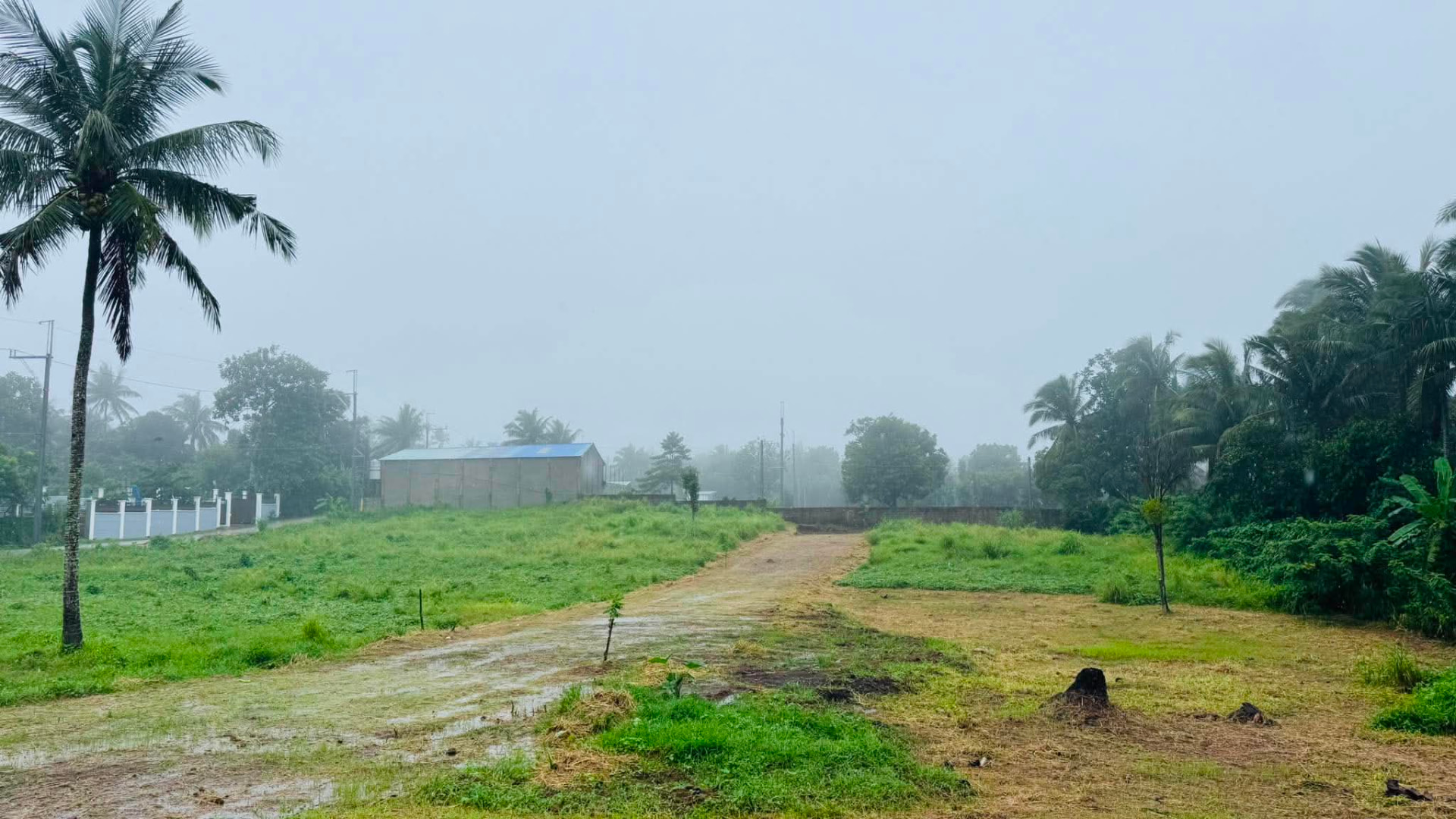 Grassy lot frontage at Pristine Farm, Mangas 2, Alfonso, Cavite
