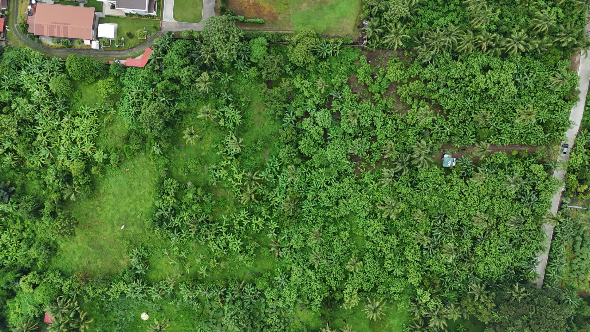 Aerial view of Solace Farm, Matagbak, Alfonso, Cavite