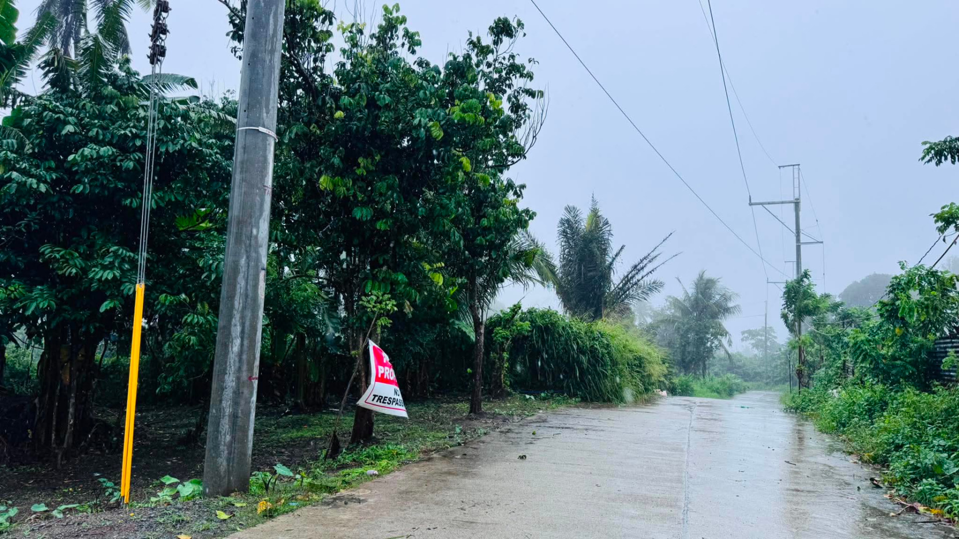 Cemented barangay road beside Serene Farm, Alfonso, Cavite