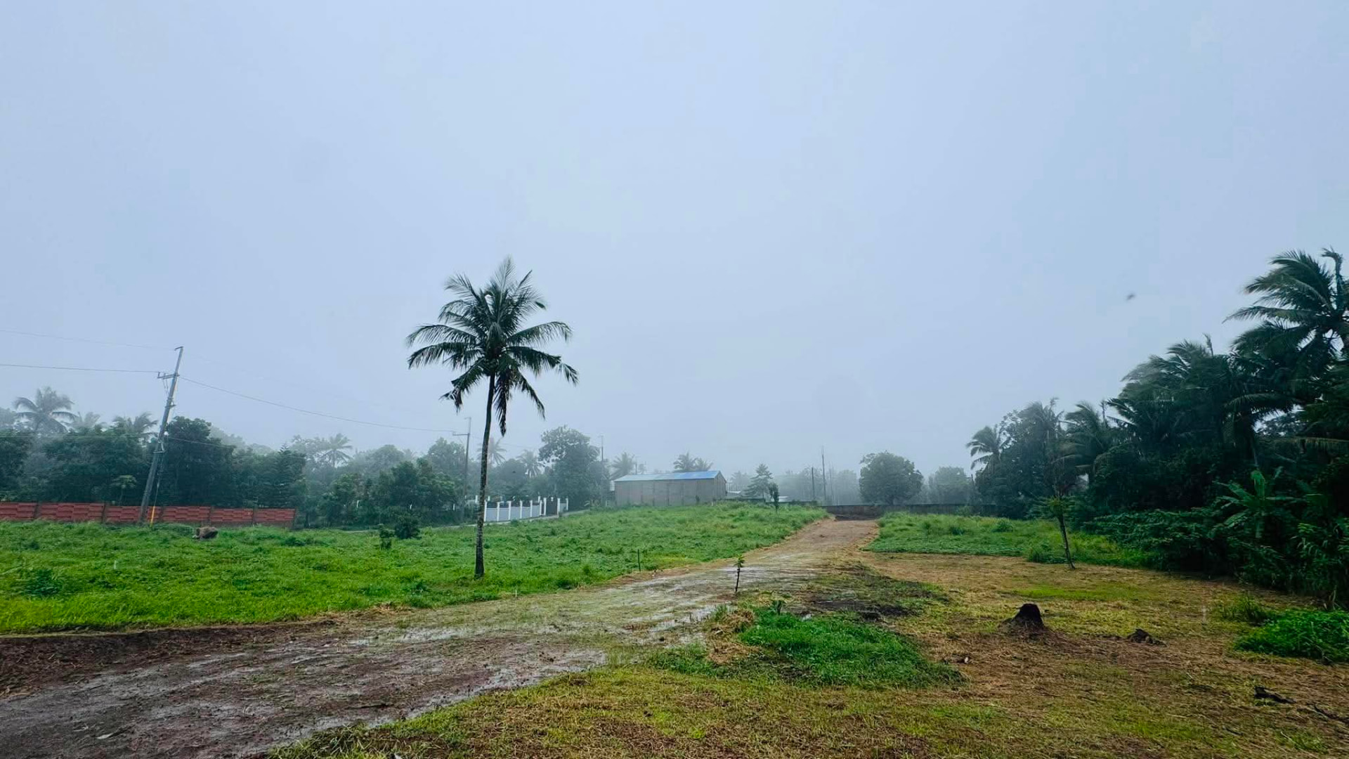 Open lot and dirt access path at Pristine Farm, Mangas 2, Alfonso, Cavite